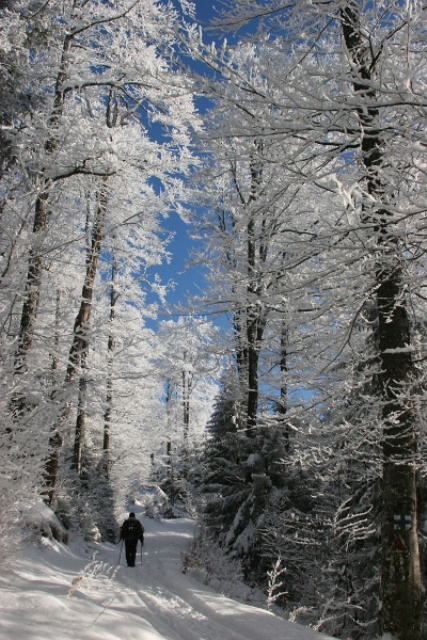 Ordogmalom (02).JPG